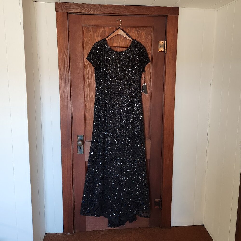 NWT Adrianna Papell Short Sleeve Sequin Mesh Gown